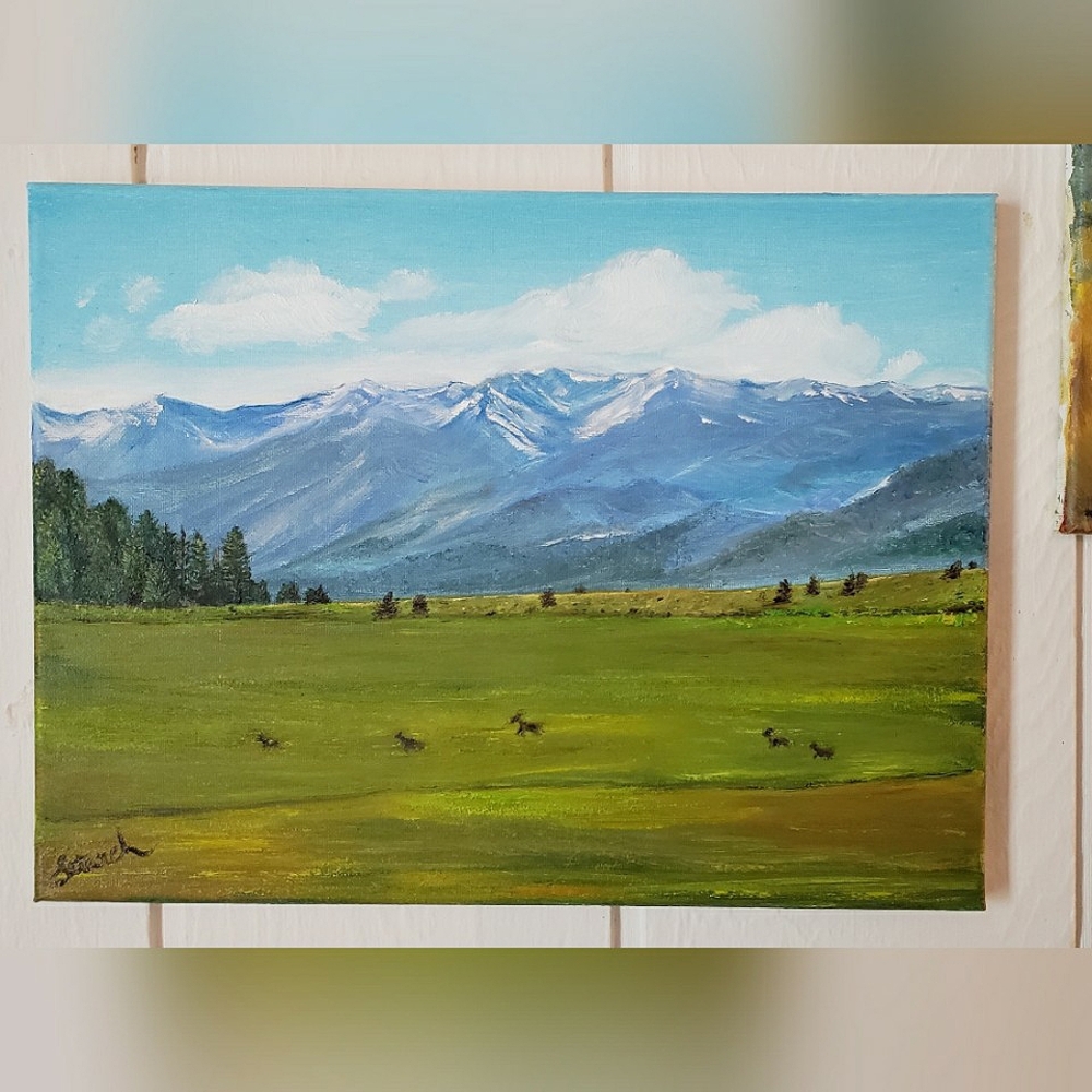 Montana original oil painting by me